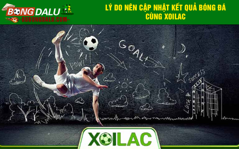 Lý do nên cập nhật kết quả bóng đá cùng Xoilac