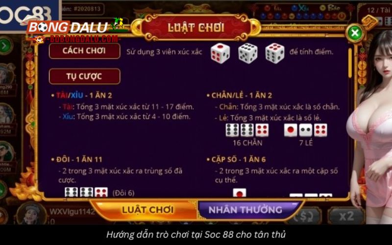 Hỗ trợ người chơi casino tận tâm chuyên nghiệp